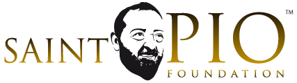 stpiofoundationlogo