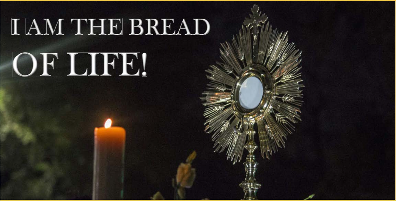 I Am the Bread of Life - 18th Sunday in Ordinary Time 2024 Year B